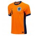 Niederlande Wout Weghorst #9 Replik Heimtrikot EM 2024 Kurzarm